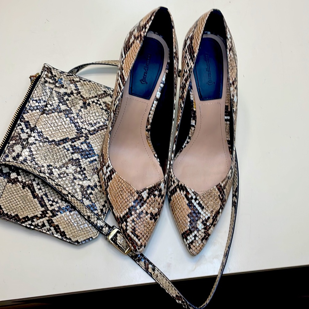 Snake heels with matching clutch